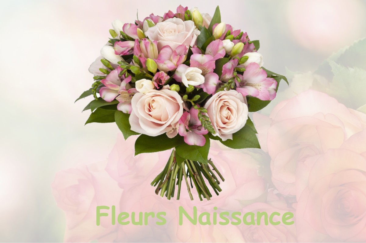 fleurs naissance CARRIERES-SOUS-POISSY